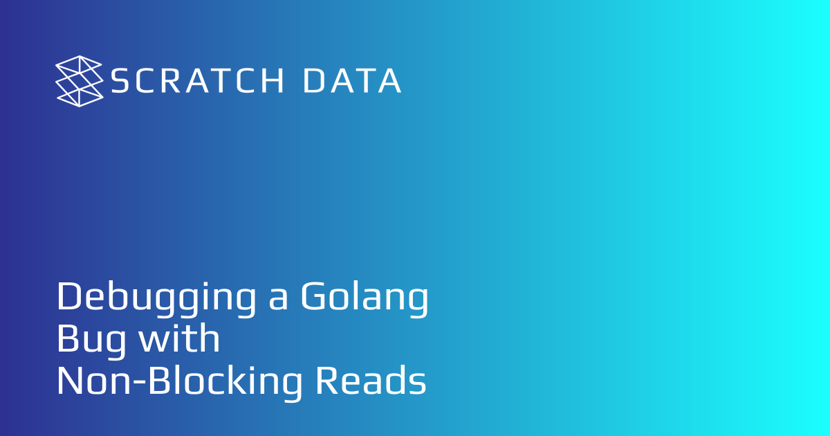 QnA VBage Debugging a Golang Bug with Non-Blocking Reads